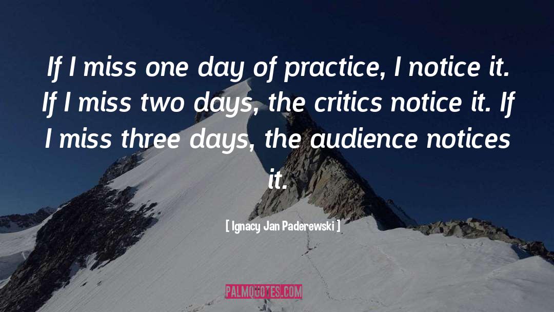 Critics quotes by Ignacy Jan Paderewski