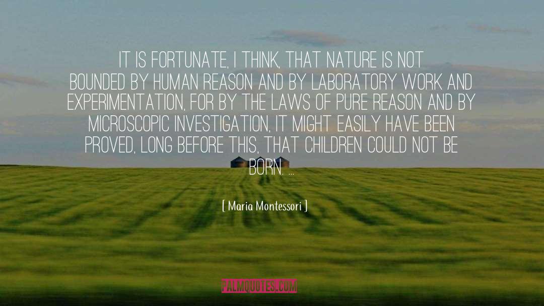 Critique Of Pure Reason quotes by Maria Montessori