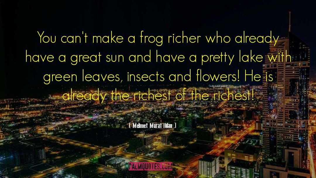 Croaked Frog quotes by Mehmet Murat Ildan