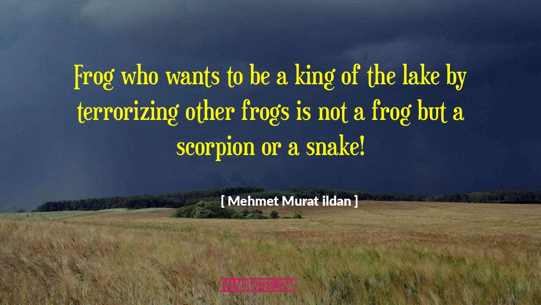 Croaked Frog quotes by Mehmet Murat Ildan