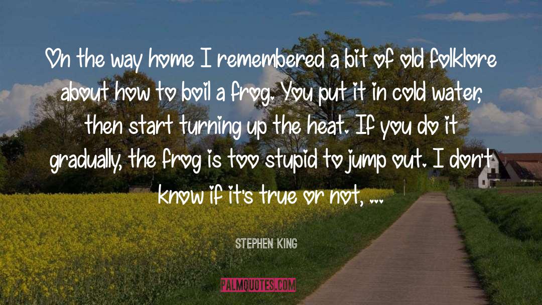 Croaked Frog quotes by Stephen King