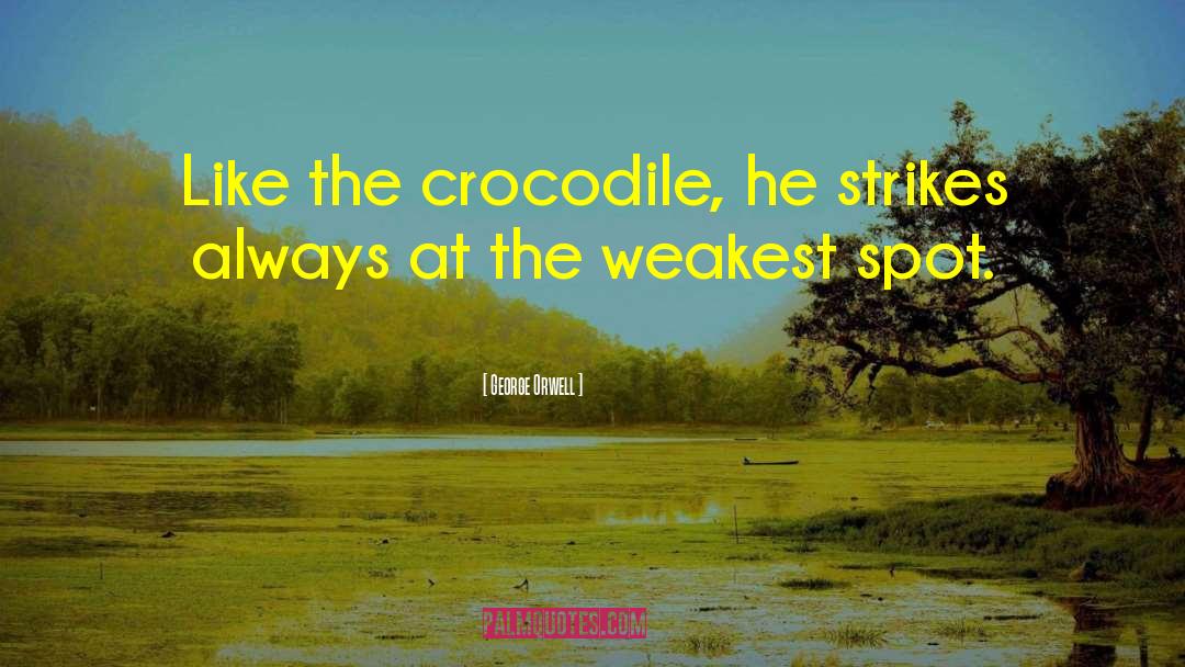 Crocodile quotes by George Orwell