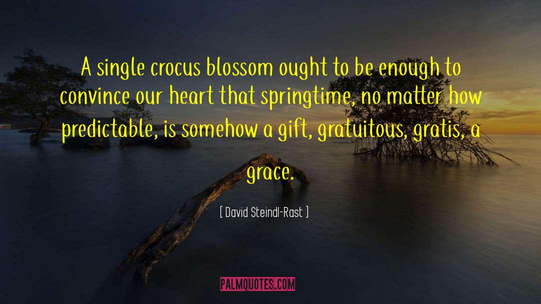 Crocus quotes by David Steindl-Rast