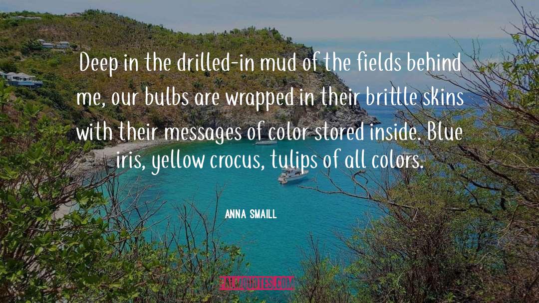 Crocus quotes by Anna Smaill