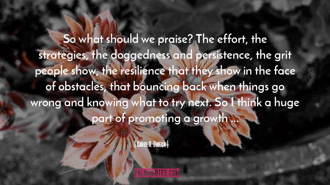 Cronyism In The Workplace quotes by Carol S. Dweck
