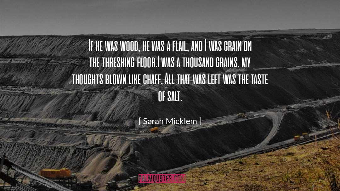 Crook And Flail quotes by Sarah Micklem