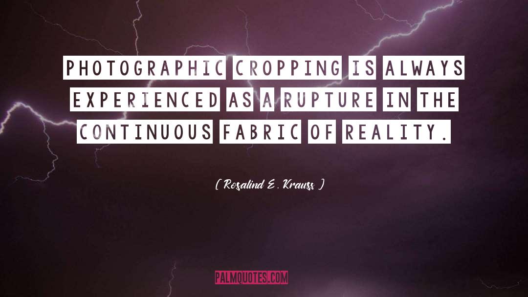 Cropping Videos quotes by Rosalind E. Krauss