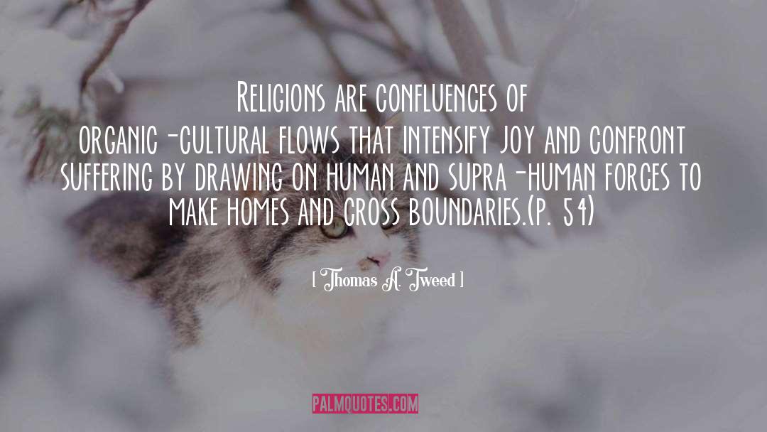 Cross Cultural Exchanges quotes by Thomas A. Tweed