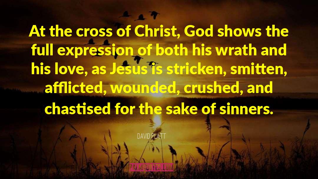 Cross Of Christ quotes by David Platt