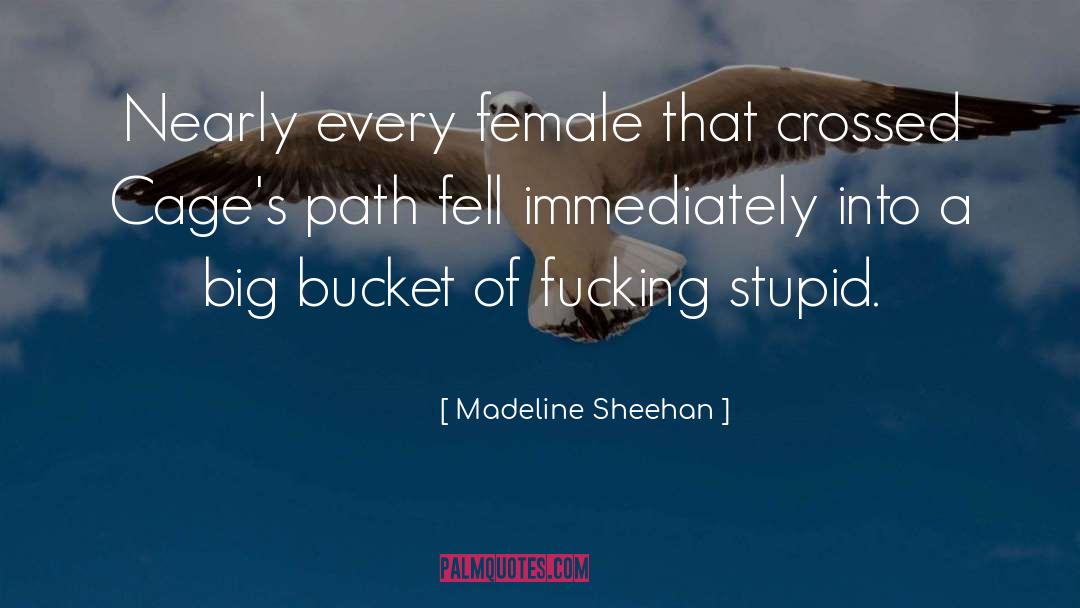 Crossed quotes by Madeline Sheehan