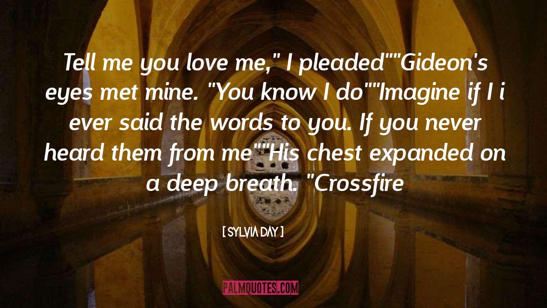 Crossfire quotes by Sylvia Day