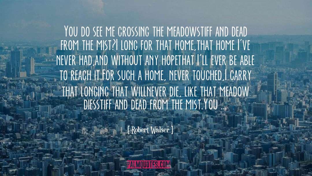 Crossing Borders quotes by Robert Walser