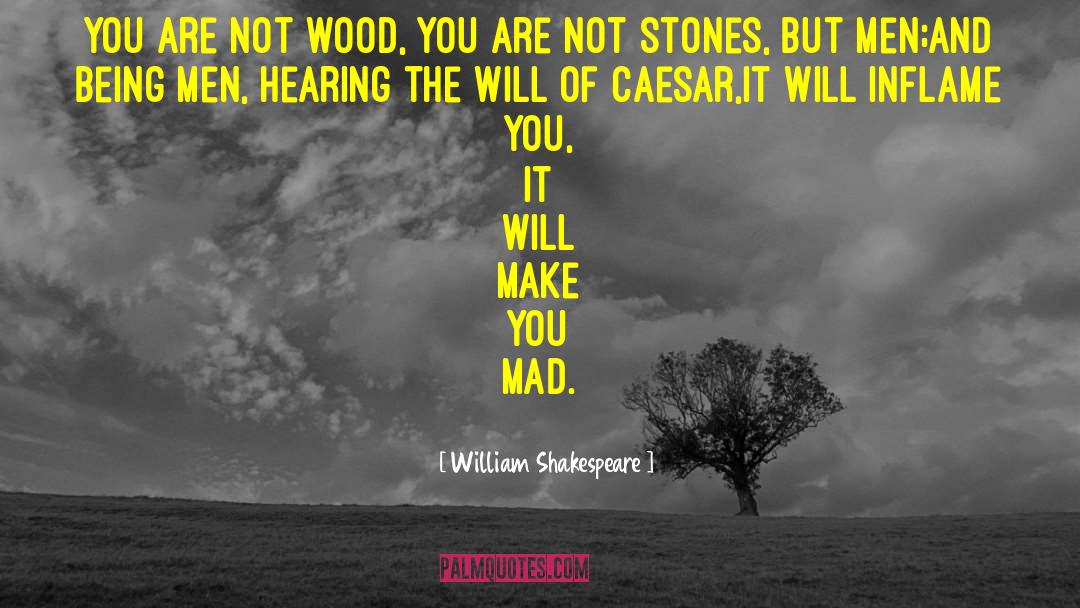 Crossing Stones quotes by William Shakespeare