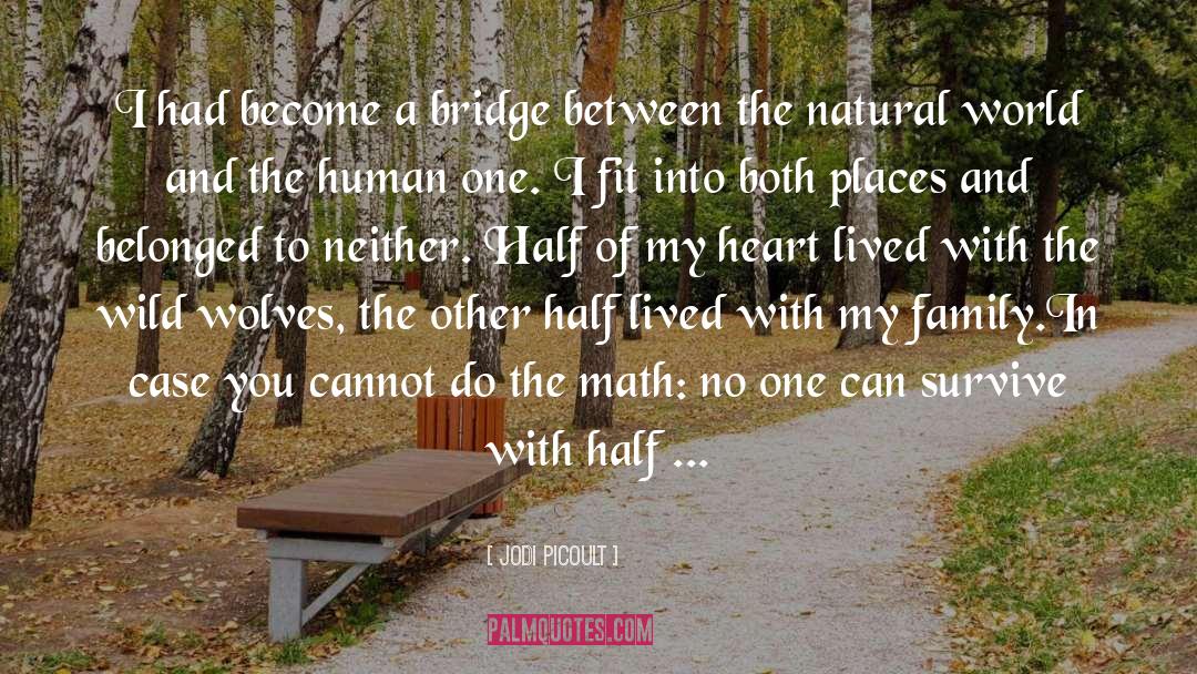 Crossing The Bridge quotes by Jodi Picoult