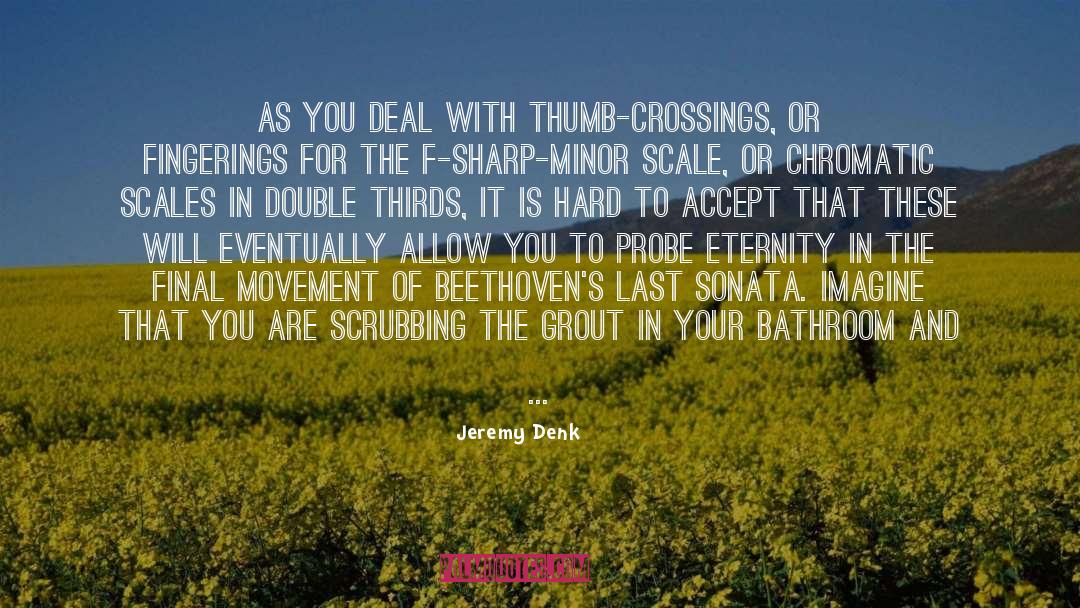 Crossings quotes by Jeremy Denk