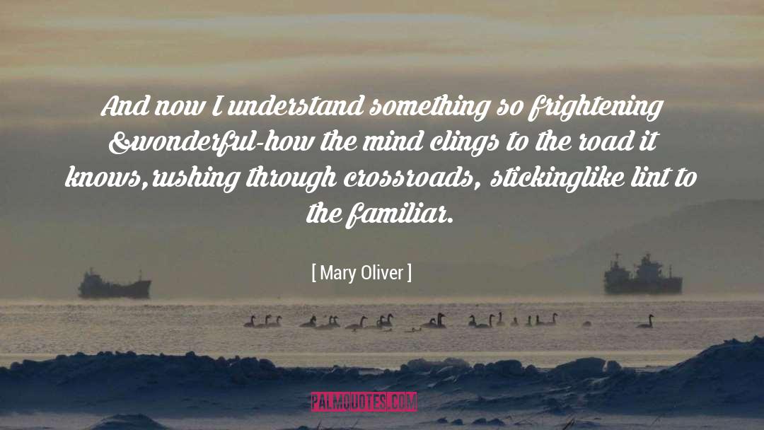 Crossroads quotes by Mary Oliver