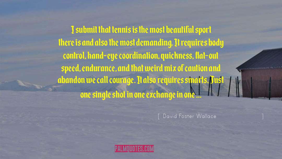 Crosswhite Tennis quotes by David Foster Wallace