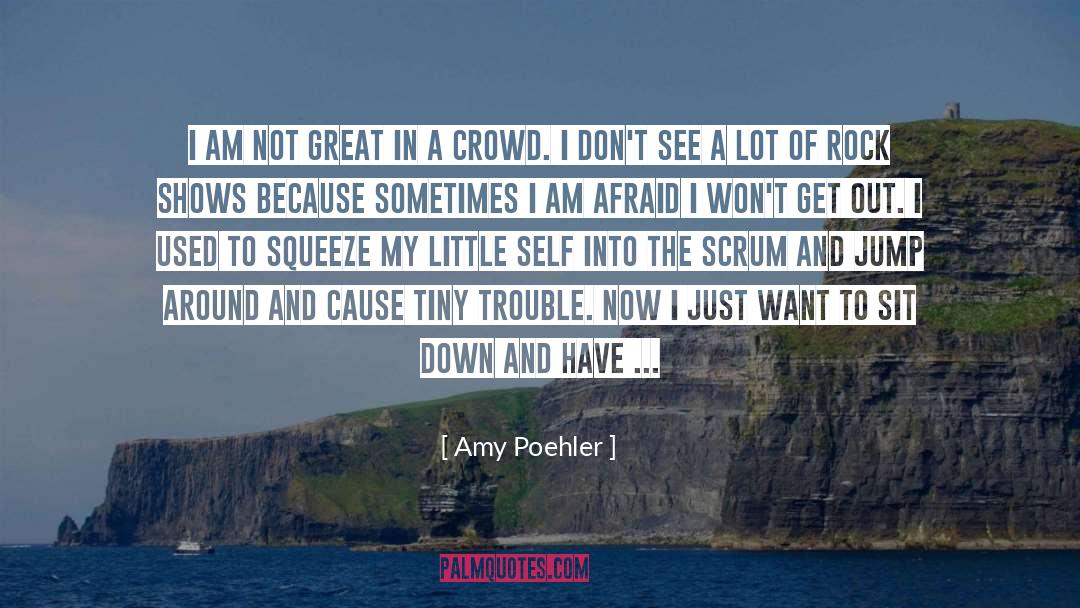 Crowd quotes by Amy Poehler