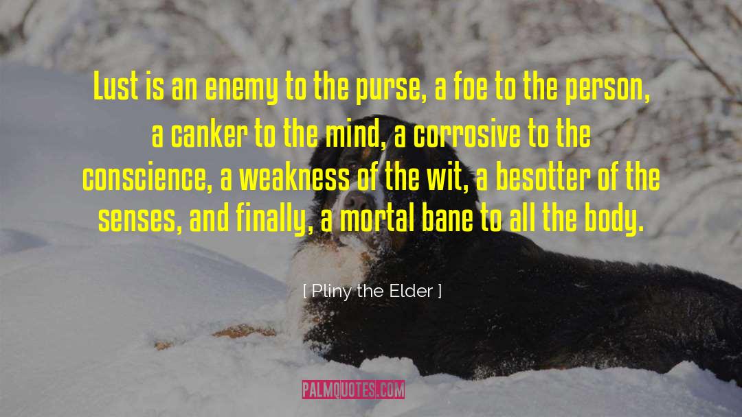 Crowded Mind quotes by Pliny The Elder