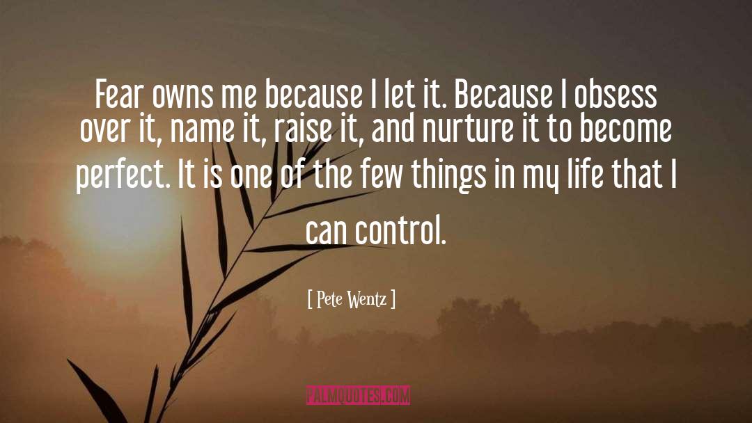 Crown Of Life quotes by Pete Wentz