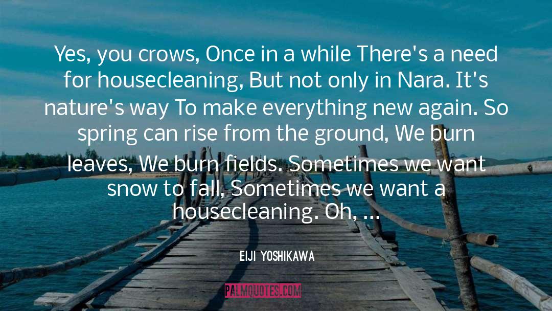 Crows quotes by Eiji Yoshikawa