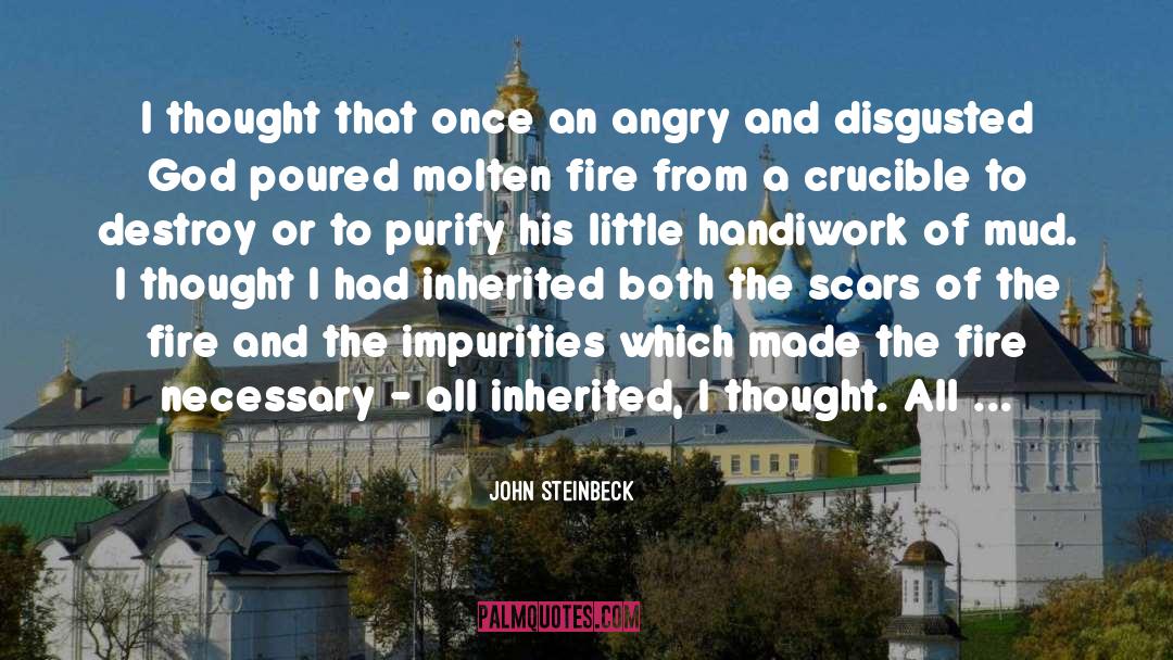 Crucible quotes by John Steinbeck