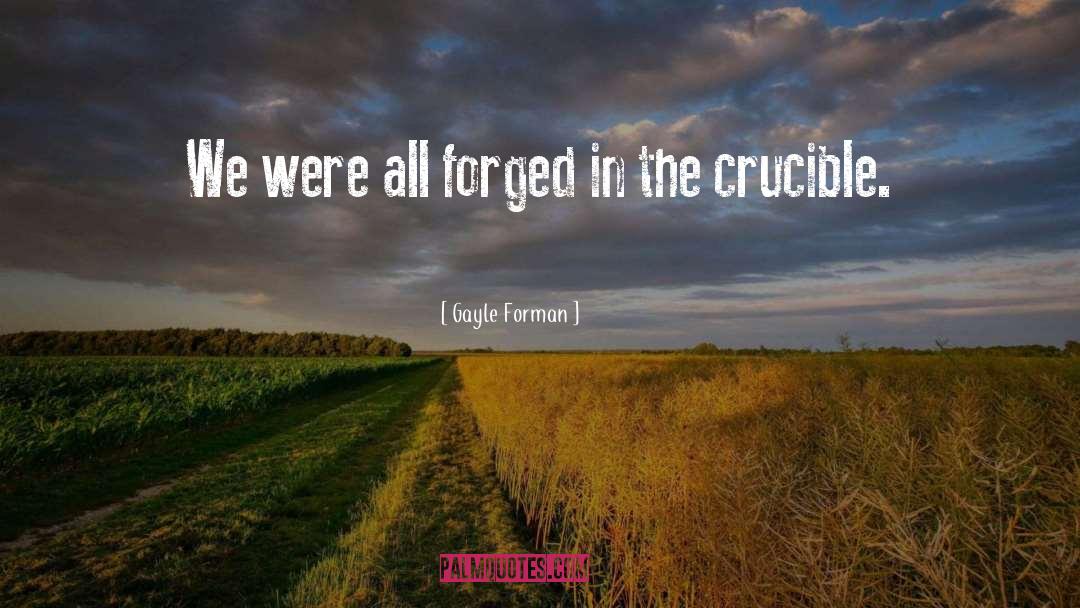 Crucible quotes by Gayle Forman