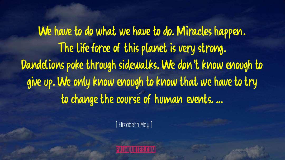 Cruel Miracles quotes by Elizabeth May