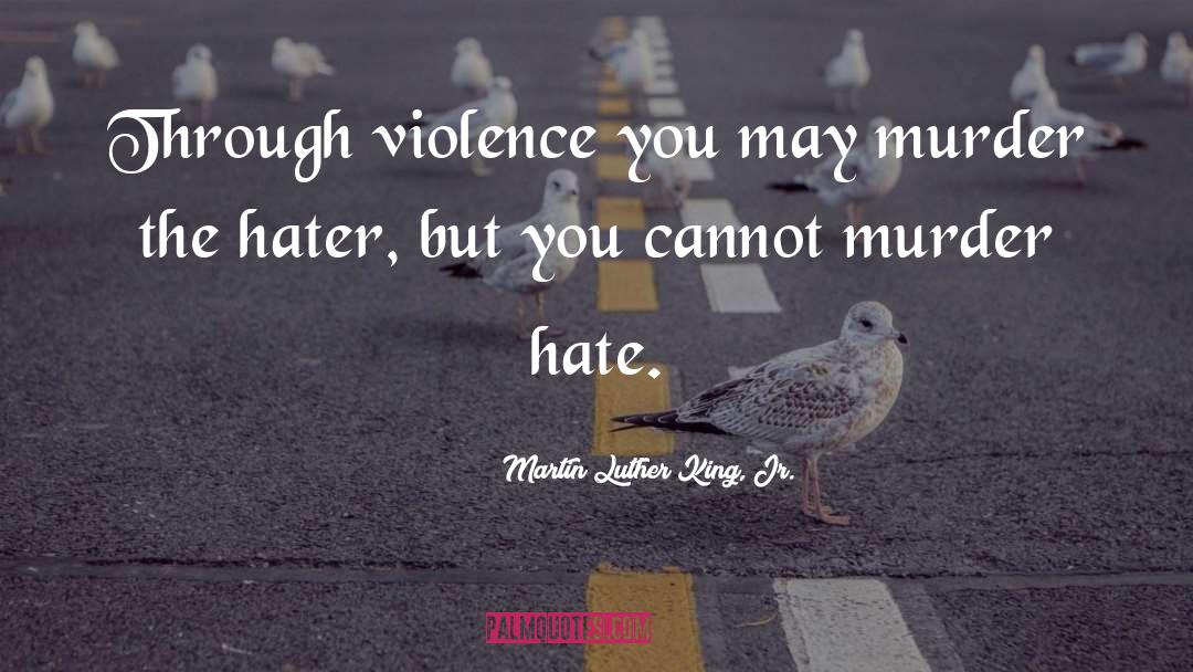 Cruelty And Hatred quotes by Martin Luther King, Jr.