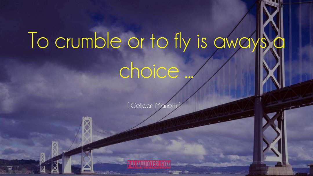 Crumble quotes by Colleen Mariotti