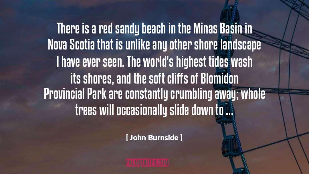 Crumbling quotes by John Burnside