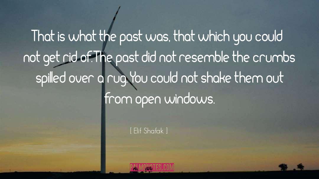 Crumbs quotes by Elif Shafak