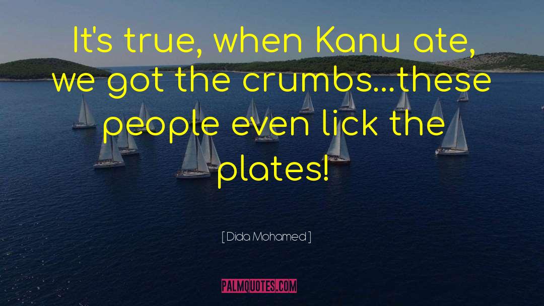 Crumbs quotes by Dida Mohamed