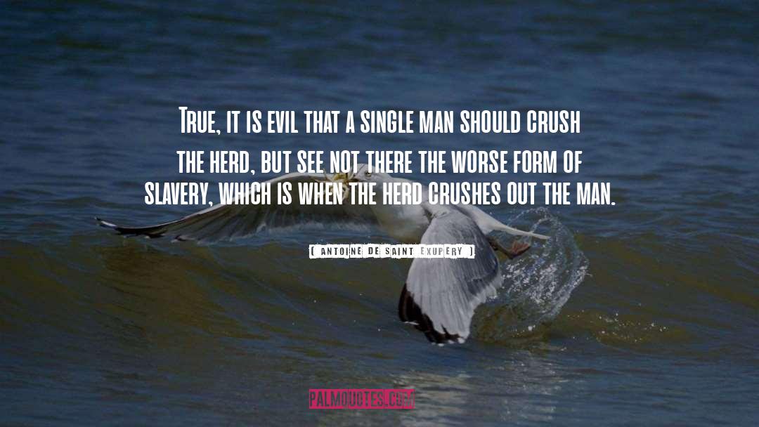 Crushes quotes by Antoine De Saint Exupery