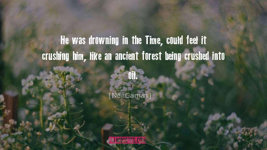 Crushing On quotes by Neil Gaiman