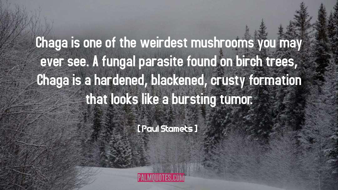 Crusty quotes by Paul Stamets