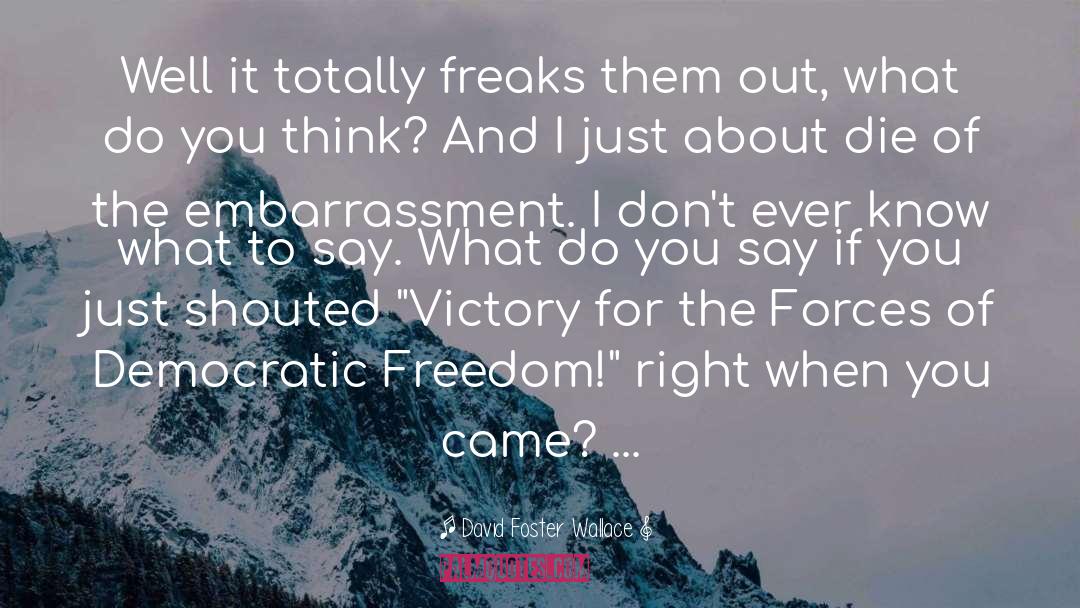 Cry For Freedom quotes by David Foster Wallace