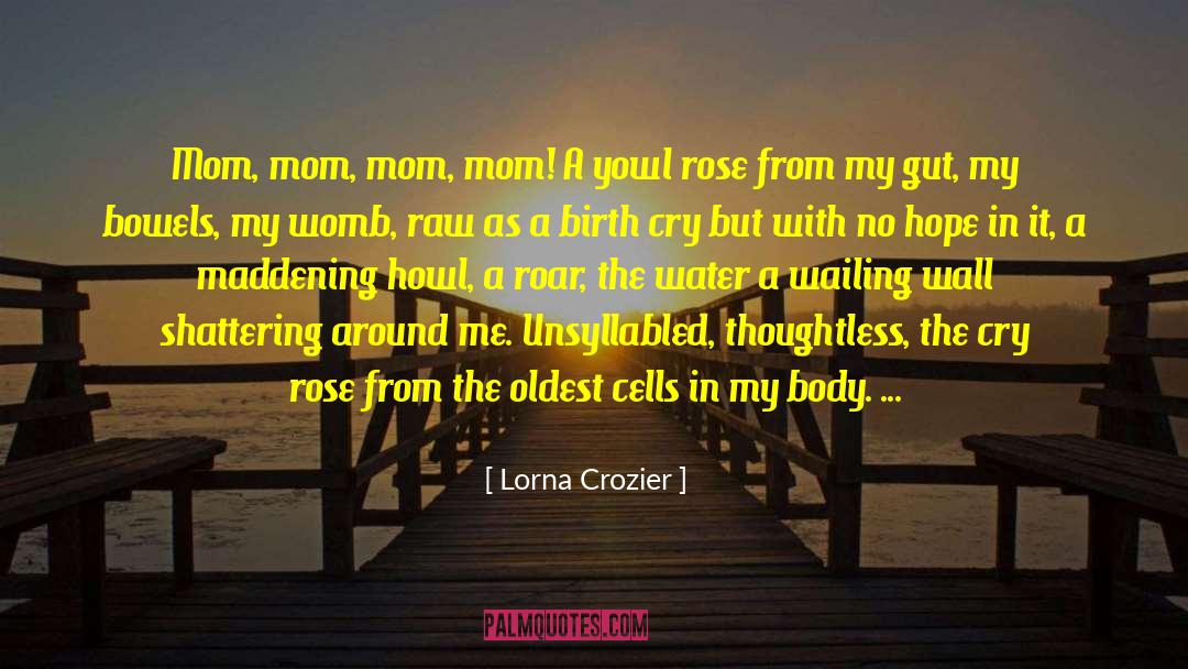 Cry Me A River Build A Bridge And Get Over It quotes by Lorna Crozier
