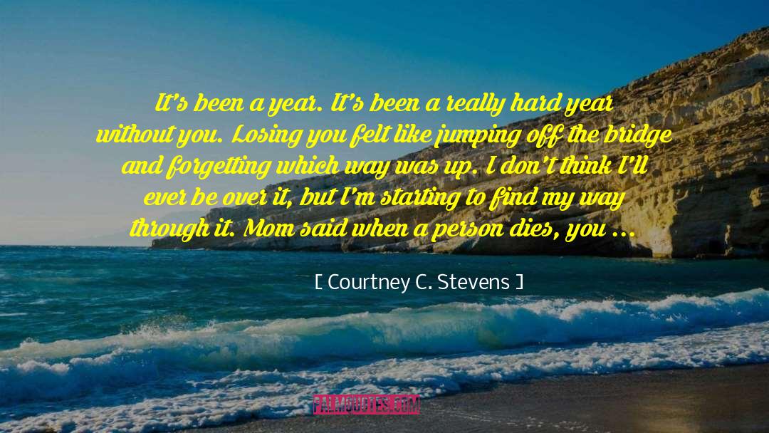 Cry Me A River Build A Bridge And Get Over It quotes by Courtney C. Stevens