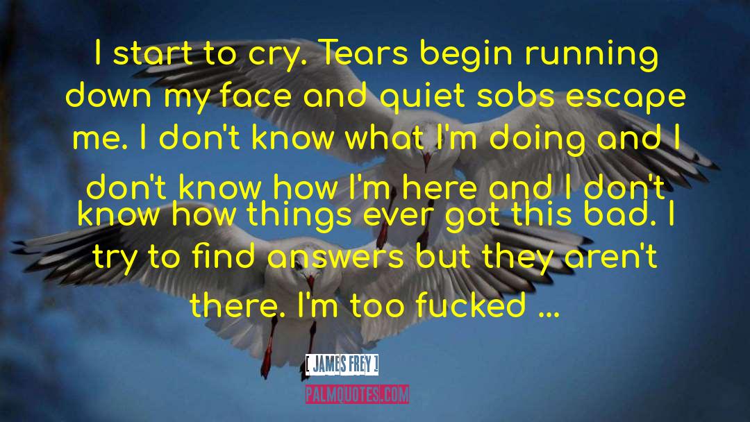 Cry Tears quotes by James Frey