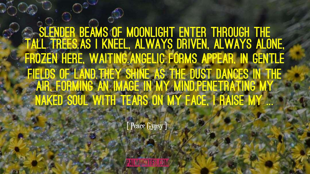 Cry Tears quotes by Peace Gypsy