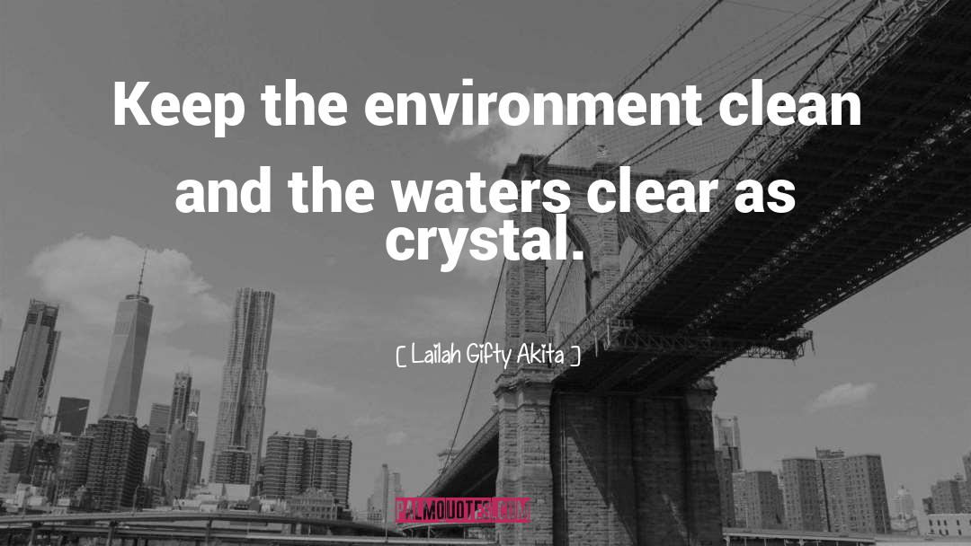 Crystal Clear Vision quotes by Lailah Gifty Akita