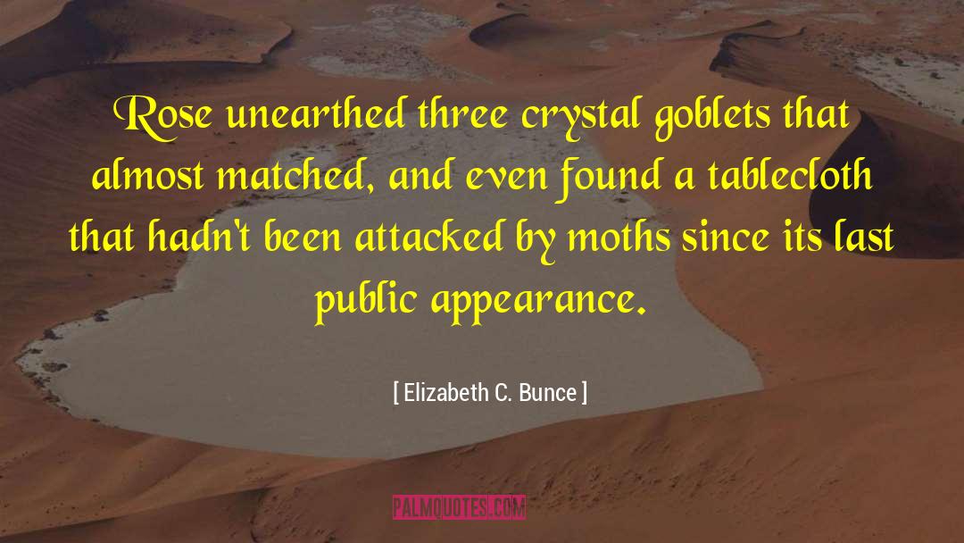 Crystal Meth quotes by Elizabeth C. Bunce