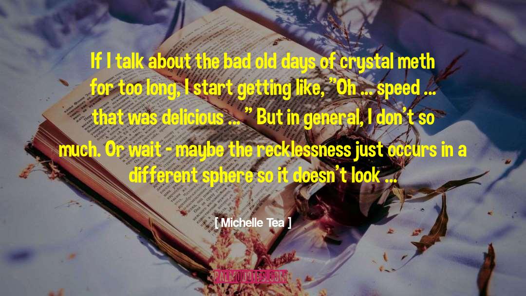 Crystal Meth quotes by Michelle Tea