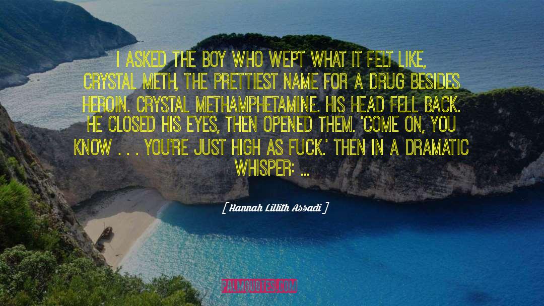 Crystal Meth quotes by Hannah Lillith Assadi