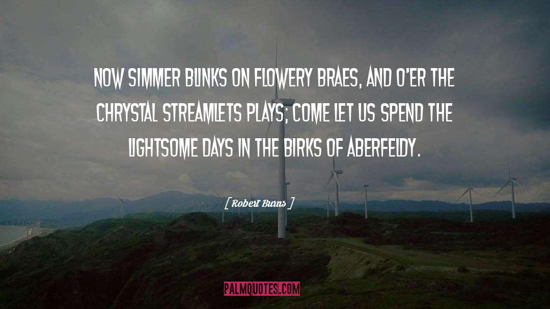 Crystals quotes by Robert Burns