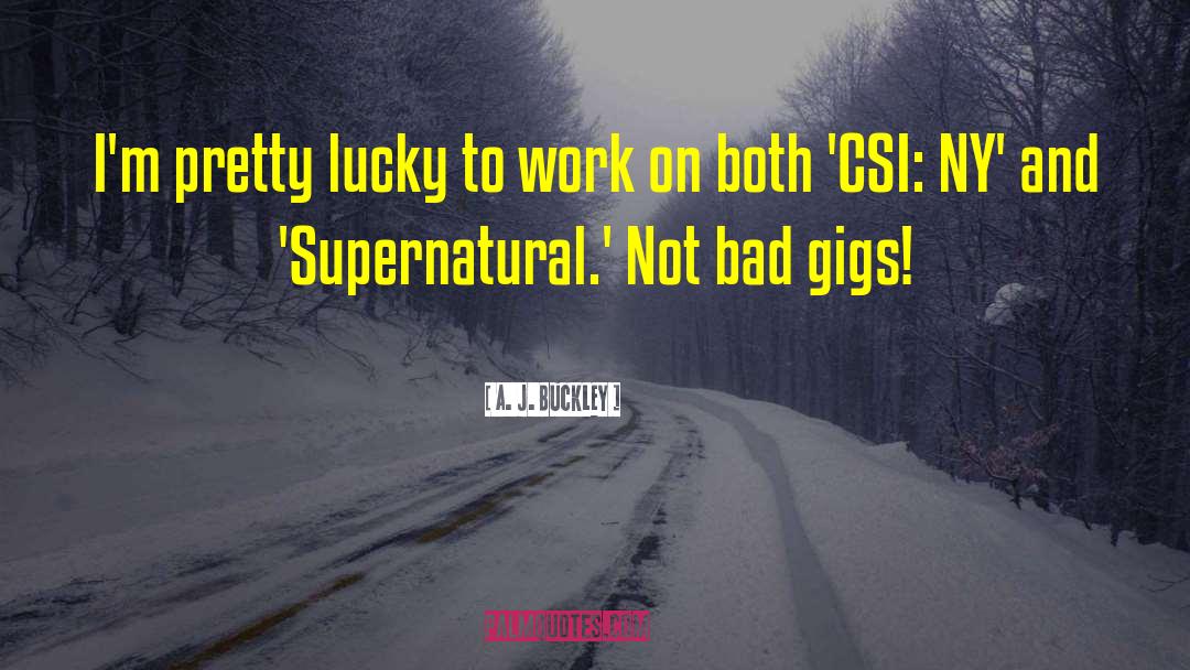 Csi Fannysmackin quotes by A. J. Buckley