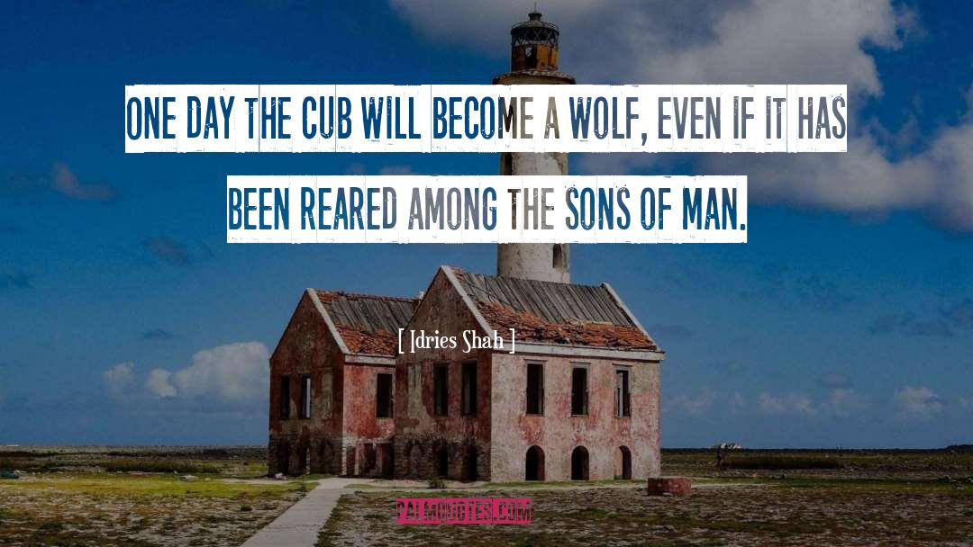 Cub quotes by Idries Shah