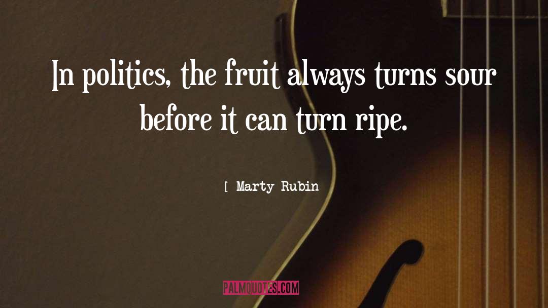 Cuban Politics quotes by Marty Rubin