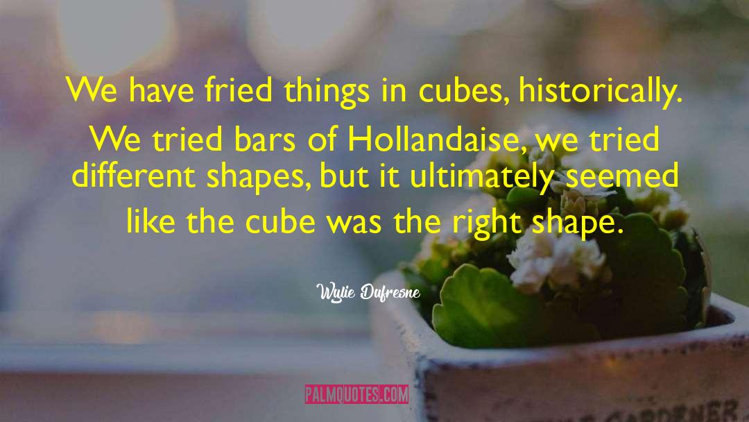Cubes quotes by Wylie Dufresne